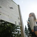 Natura 4*