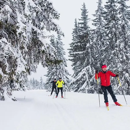 Ξενοδοχείο Natura