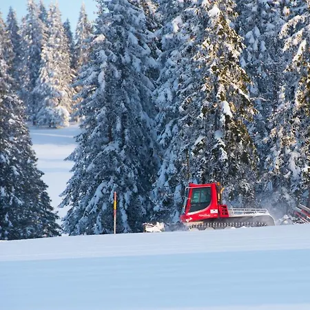 Natura 4* Rogla