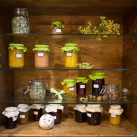 Ξενοδοχείο Natura 4*