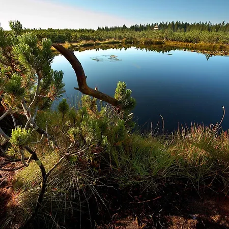 Natura 4* Rogla